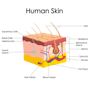 The Secret Hiding Places Of Acne By Beauty Salon Scarborough  - Call Us On 0404 072 462