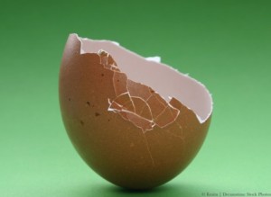 What’s As Thin As An Eggshell? By Beauty Salon Scarborough - Call Us On 0404 072 462